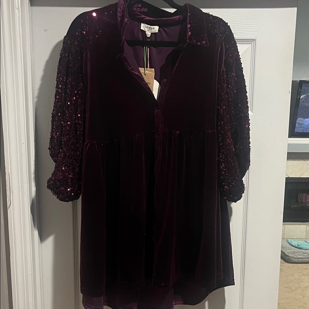Umgee Deep Purple Velvet Dress with Sequin Sleeves